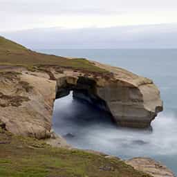 Dunedin-activity-specials