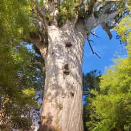 Northland-activity-specials