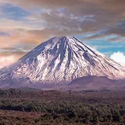 Taupo-activity-specials