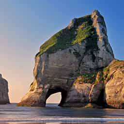 Top-of-the-south-activity-specials