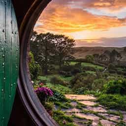 Waikato-activity-specials