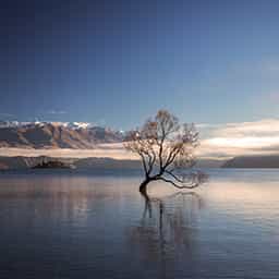 Wanaka-activity-specials