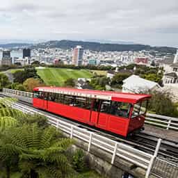 Wellington-activity-specials